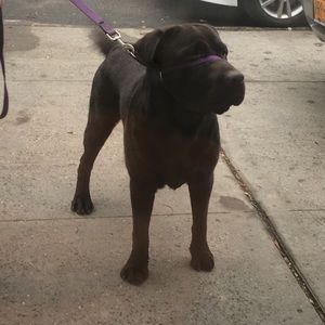 Meet your Posher, Sher